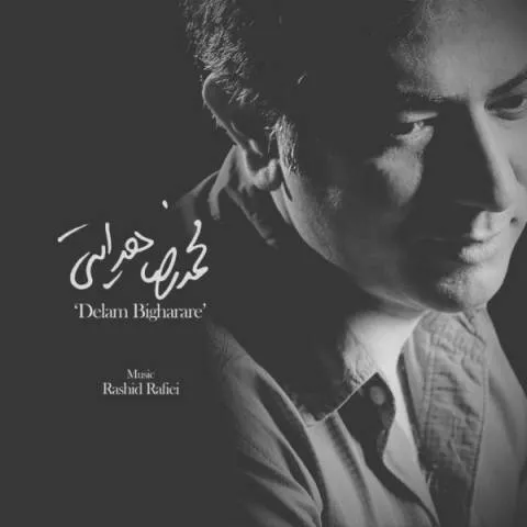 دانلود آهنگ محمدرضا هدایتی به نام دلم بی قراره