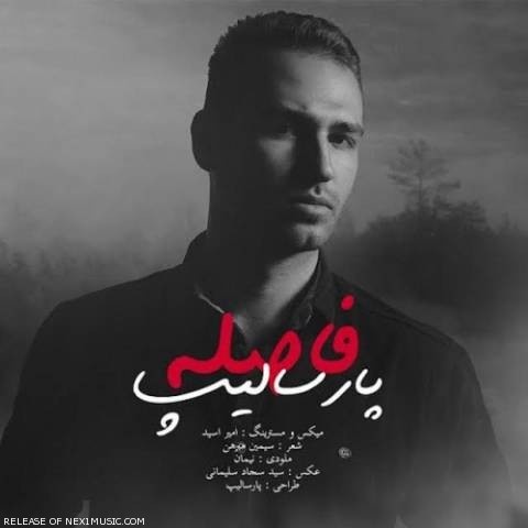 پارسالیپ فاصله