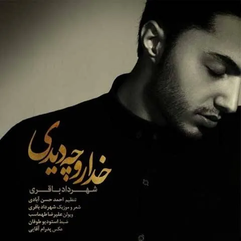 دانلود آهنگ شهرداد باقری به نام خدارو چه دیدی