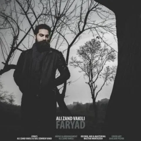 دانلود آهنگ علی زند وکیلی به نام فریاد