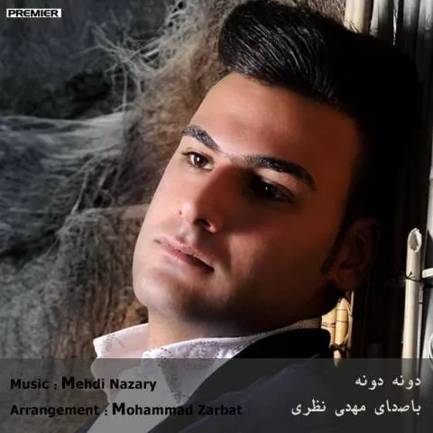 دانلود آهنگ مهدی نظری به نام دونه دونه