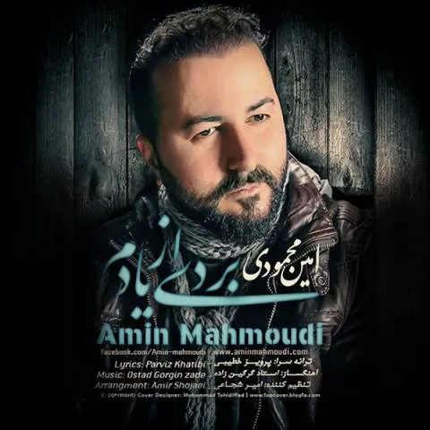 دانلود آهنگ امین محمودی به نام بردی از یادم