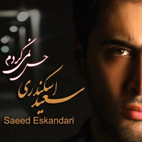 سعید اسکندری حس نمی کردم
