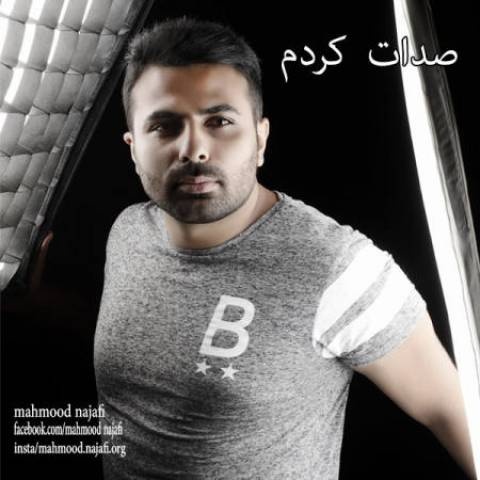 محمود نجفی صدات کردم