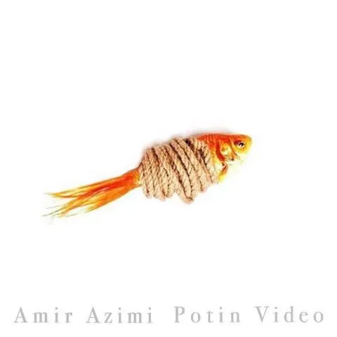 دانلود موزیک ویدئو امیر عظیمی به نام پوتین