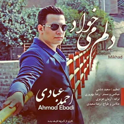 دانلود آهنگ احمد عبادی به نام دلم میخواد