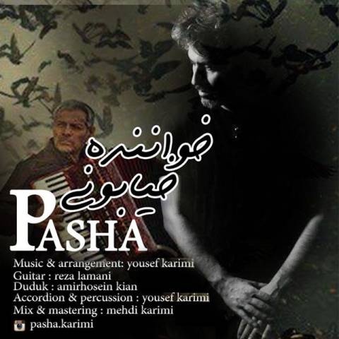 پاشا خواننده خیابونی