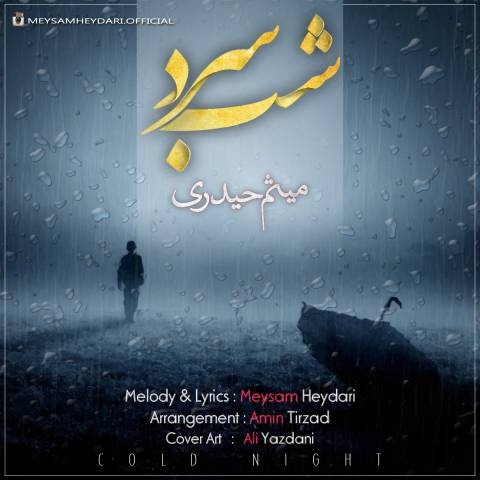میثم حیدری شب سرد
