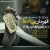 محسن ابراهیم زاده - قهرمان بی ادعا