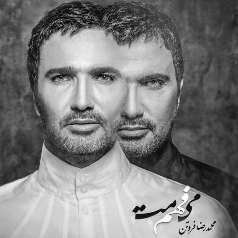 محمدرضا فروتن میفهممت
