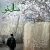 روزبه اسماعیلی - سال نو