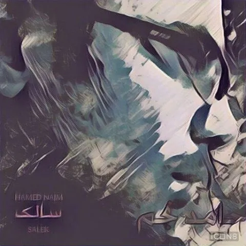 دانلود آلبوم حامد نجم به نام سالک
