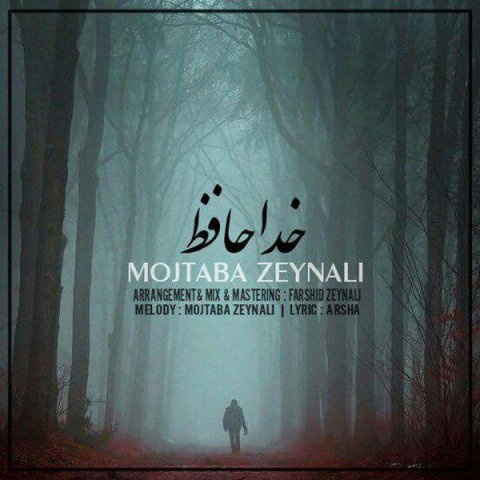 مجتبی زینلی خداحافظ