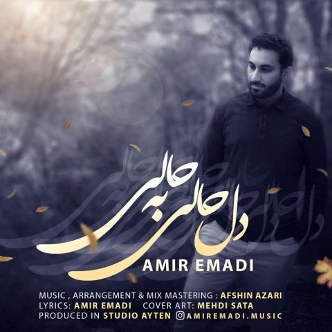 امیر عمادی دل حالی به حالی