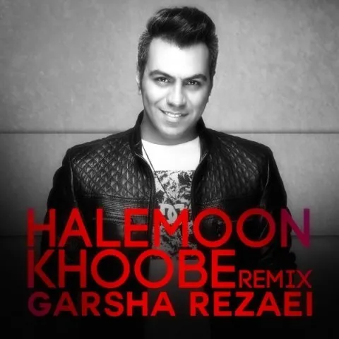 دانلود ریمیکس گرشا رضایی به نام حالمون خوبه + متن آهنگ