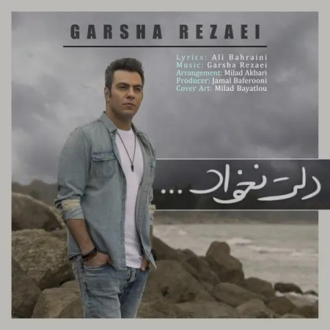 دانلود آهنگ گرشا رضایی به نام دلت نخواد + متن آهنگ
