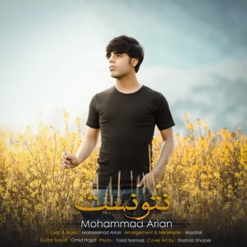 دانلود آهنگ محمد آرین به نام نتونست