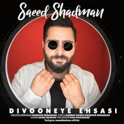 دانلود آهنگ سعید شادمان به نام دیوونه ی احساسی