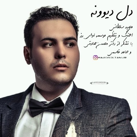 مجید سلطانی دل دیوونه