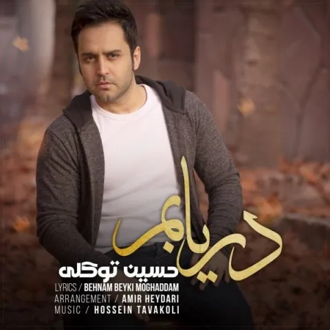 دانلود آهنگ حسین توکلی به نام دریابم + متن آهنگ