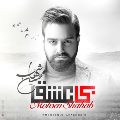 محسن شهاب بی عشق