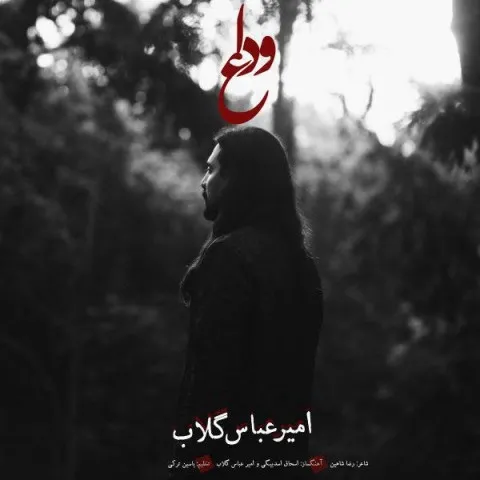 دانلود آهنگ امیرعباس گلاب به نام وداع + متن آهنگ