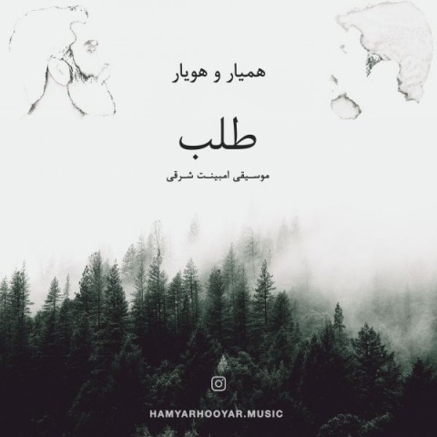 همیار و هویار طلب