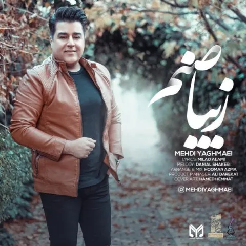 دانلود آهنگ مهدی یغمایی به نام زیبا صنم + متن آهنگ