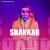 صادق صدری - شاهکار
