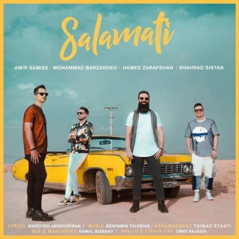 Various Artists سلامتی