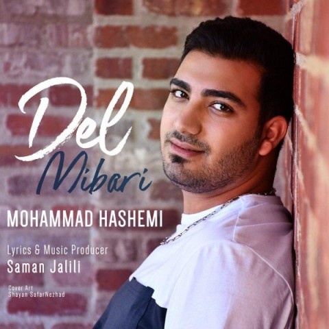 محمد هاشمی دل میبری