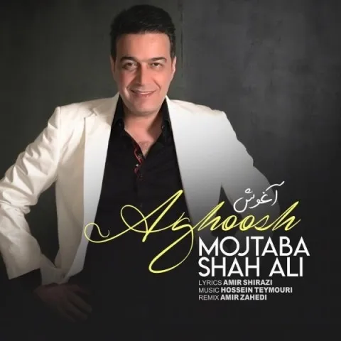 دانلود آهنگ مجتبی شاه علی به نام آغوش
