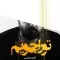 دانلود آهنگ آرمان گرشاسبی به نام تو را جویم + متن آهنگ