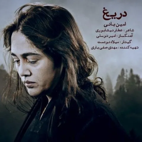 دانلود آهنگ امین بانی به نام دریغ + متن آهنگ