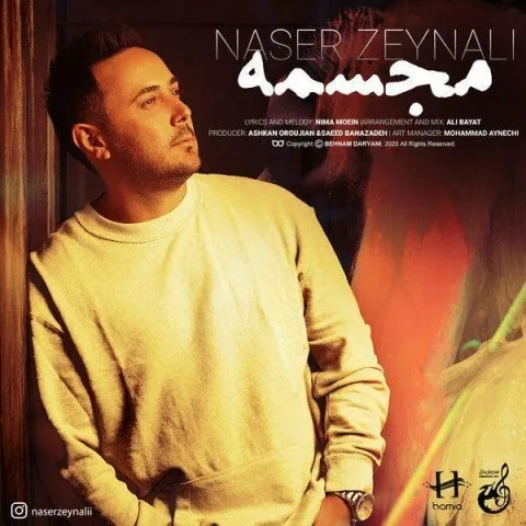 دانلود آهنگ ناصر زینلی به نام مجسمه + متن آهنگ