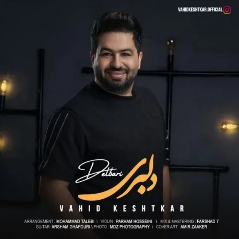 دانلود آهنگ وحید کشتکار به نام دلبری