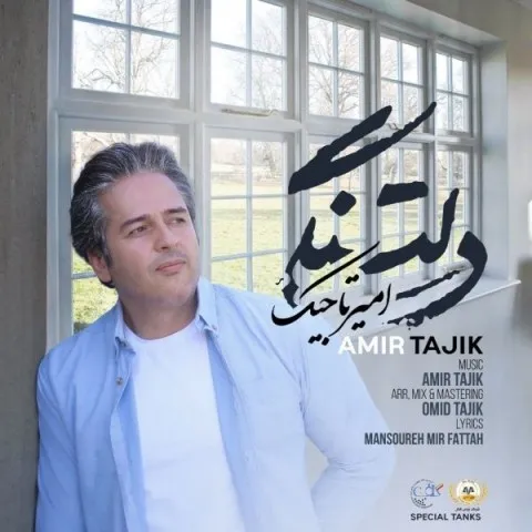دانلود آهنگ امیر تاجیک به نام دلتنگی + متن آهنگ