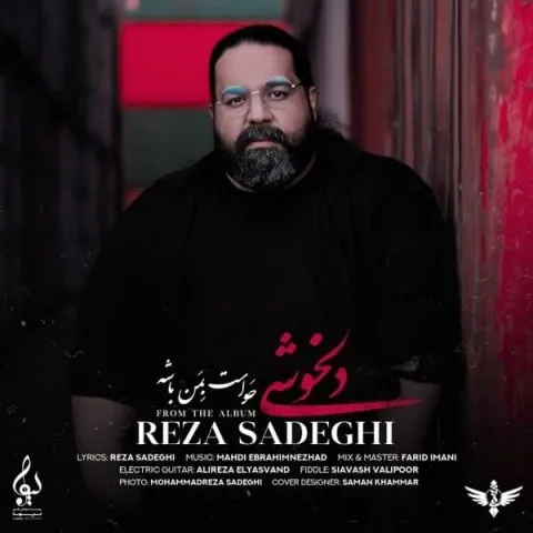دانلود آهنگ رضا صادقی به نام دلخوشی + متن آهنگ