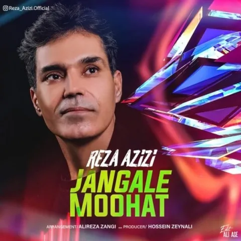 دانلود آهنگ رضا عزیزی به نام جنگل موهات