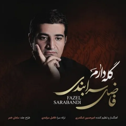 دانلود آهنگ فاضل سرابندی به نام گله دارم + متن آهنگ
