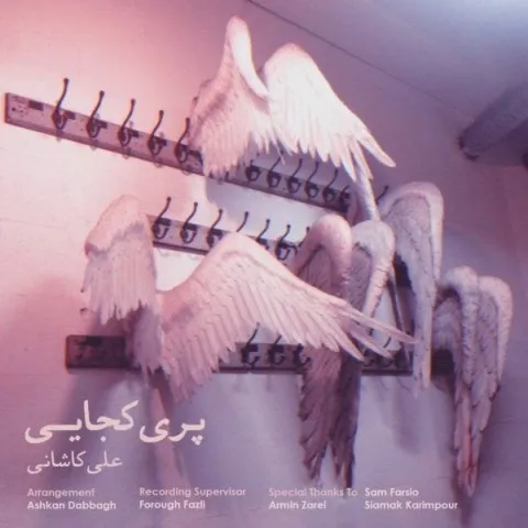 دانلود آهنگ علی کاشانی به نام پری کجایی + متن آهنگ