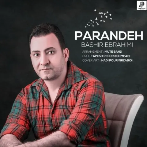 دانلود آهنگ بشیر ابراهیمی به نام پرنده + متن آهنگ