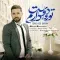 دانلود آهنگ حامد شعبانپور به نام تو رو دوس دارم + متن آهنگ