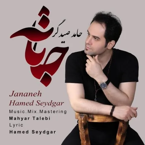 دانلود آهنگ حامد صیدگر به نام جانانه