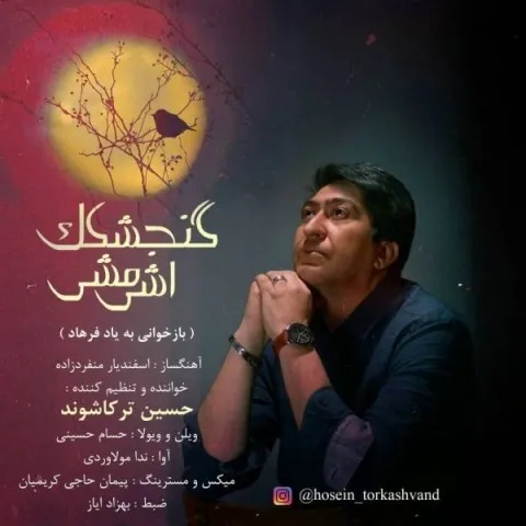 دانلود آهنگ حسین ترکاشوند به نام گنجشکک اشی مشی + متن آهنگ