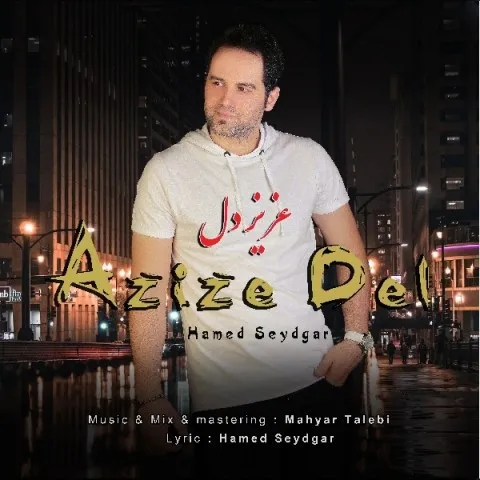 دانلود آهنگ حامد صیدگر به نام عزیز دل + متن آهنگ