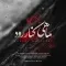دانلود آهنگ محسن چاوشی به نام ماهی کنار رود + متن آهنگ