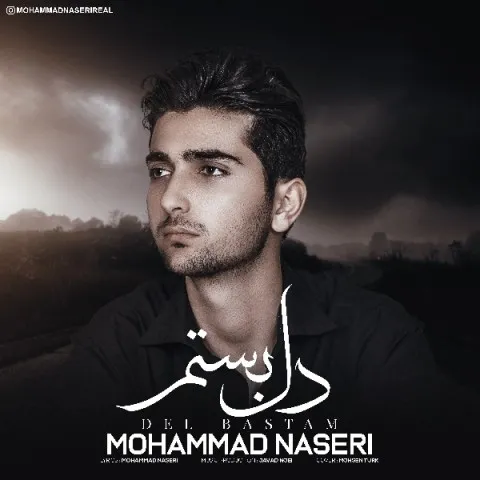 دانلود آهنگ محمد ناصری به نام دل بستم + متن آهنگ