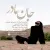 محمد رضا دهقانی - جان مادر