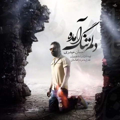 دانلود آهنگ احسان حیدری به نام دلم تنگ آمده + متن آهنگ